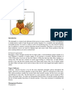 Pineapple Production PDF