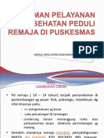 PKPR Di Puskesmas