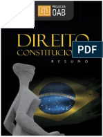 DIREITO CONSTITUCIONAL-1.pdf