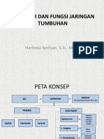 Pertemuan 3 Struktur Dan Fungsi Jaringan Tumbuhan