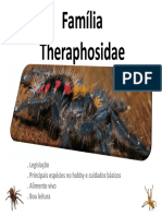 Família Theraphosidae1-1 PDF