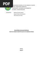 Relatório Microbiologia-Práticas.pdf