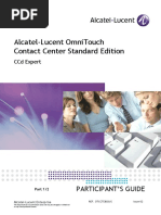 Alcatel-Contact-Center-CCD-Expert.pdf