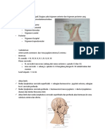 Anatomi Leher dan Diagnosa TB Kelenjar Leher