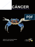 El Cancer PDF