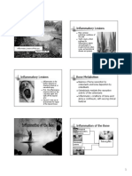 Inflammatory Lesions