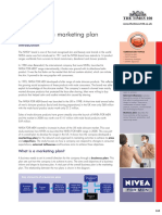 Developing a marketing plan.pdf