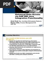 955-universal-data-access-via-sap-bw-java-integration-functionality.pdf