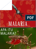 Penyuluhan Malaria