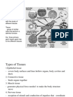 Histology Guide: Tissues, Epithelial Types & Functions