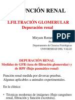 6-DEPURACIÓN RENAL (1).pdf