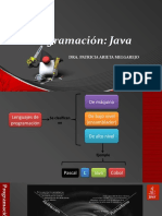 JAVA0