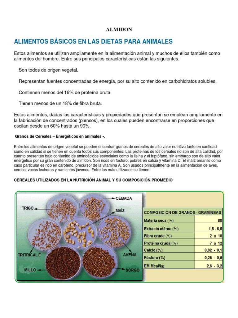 ALMIDON | PDF | Almidón | Química