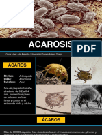 ACAROSIS.pptx