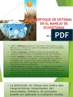 02 Enfoque de Sistemas en El Manejo de Ecosistemas Caso Apurimac