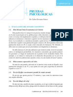 PRUEBAS PSICOLOGICAS.pdf