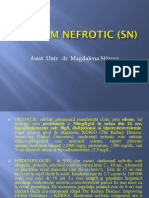 Sindrom Nefrotic (Sn)