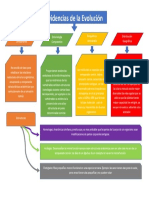 Materia Evidencias de La Evolucion[