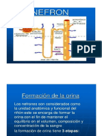 Examen Completo Orina