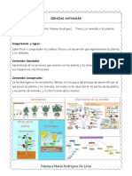 Ciencias Naturales Planeacion