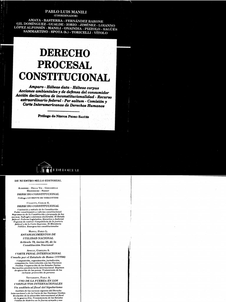 Derecho Procesal Constitucional - Pablo Luis Manili PDF | PDF ...