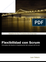 Libro-flexibilidad_con_scrum.pdf