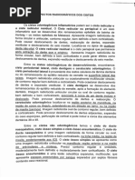 Novo Documento