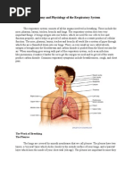 Anatomy and Physiology of Lung | PDF | Lung | Respiratory Tract