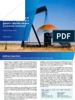 Impact of the Onshore Upstream Oil and Gas Industry on the Romanian Economy_20160222_ro