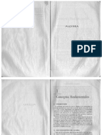 3) Álgebra_Lehmann.pdf