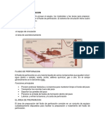 Sistema de Circulacionagain