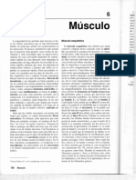 Musculo