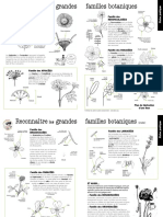 Familles Botaniques Principales PDF