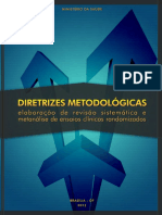 diretrizes_metodologicas_elaboracao_sistematica.pdf