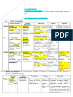 Fitoterapia Respiratoria