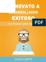 De Novato A Desarrollador Exitoso PDF