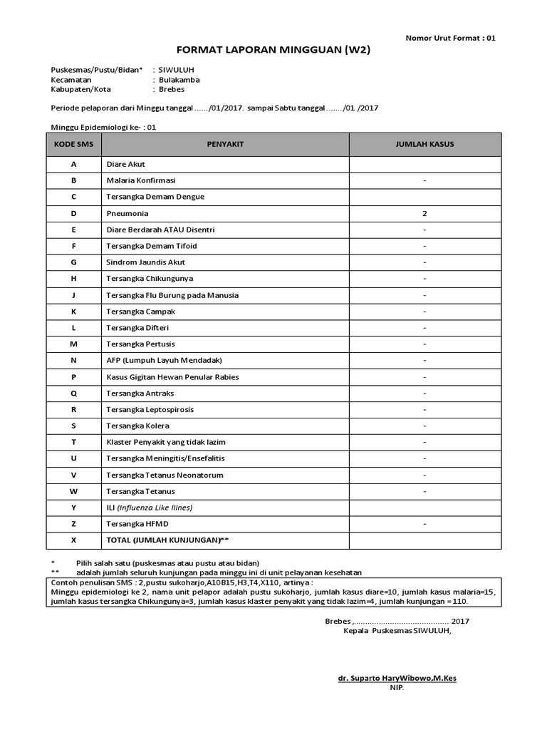 Format Laporan Mingguan W2 2017 Puskesmas Siwuluh