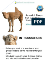 Bloom - Camel Cedd2010