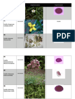 Tablas-Polen - Convencional e Insectos