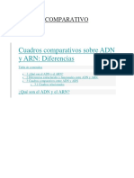 Diferencia Entre ADN Y ARN