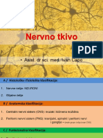 Nervno Tkivo I Nervni Sistem