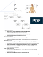 Functions of the Nervous System and its Divisions