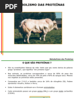 Proteínas_licenciatura