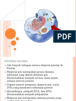 Sintesis Protein