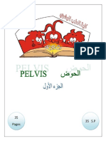 Pelvis 1stpart