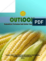 Outlook Jagung 2016