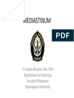 Mediastinum Iin (1)