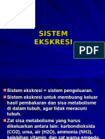 Bab 8 Sistem Ekskresi2