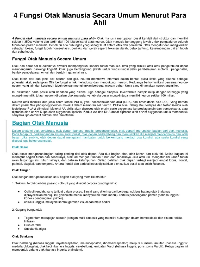 Download 81 Gambar Fungsi Otak Manusia Terbaru HD