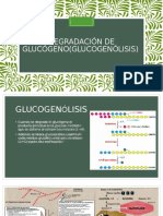 Degradación de Glucógeno (Glucogenolisis)
